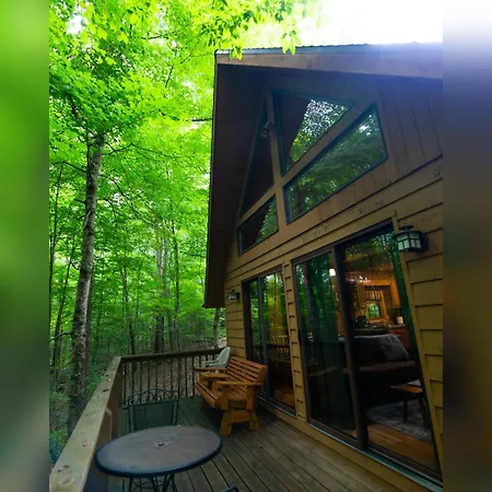 Elk - By The Chalets